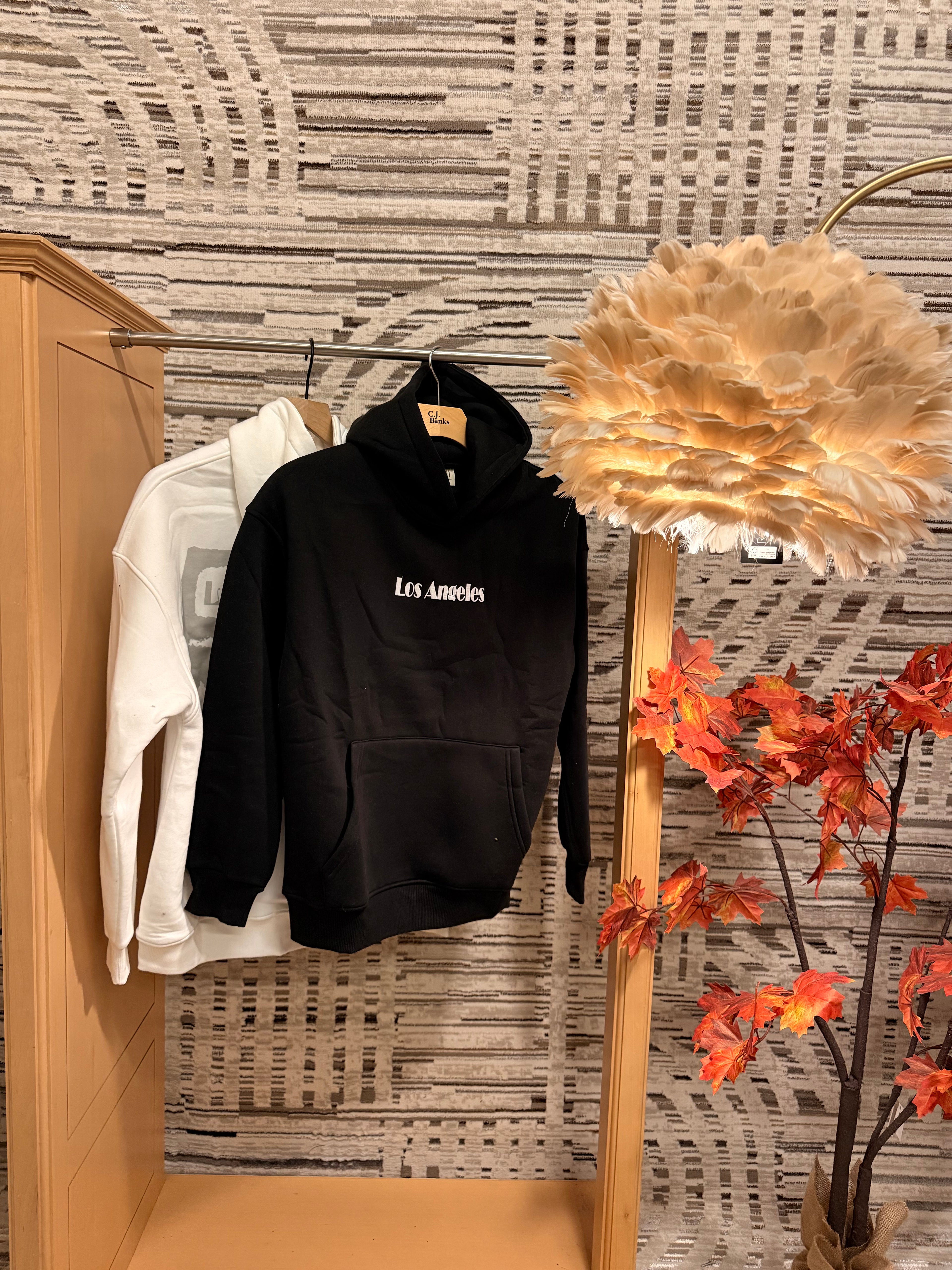 Los Angeles kaws hoodie